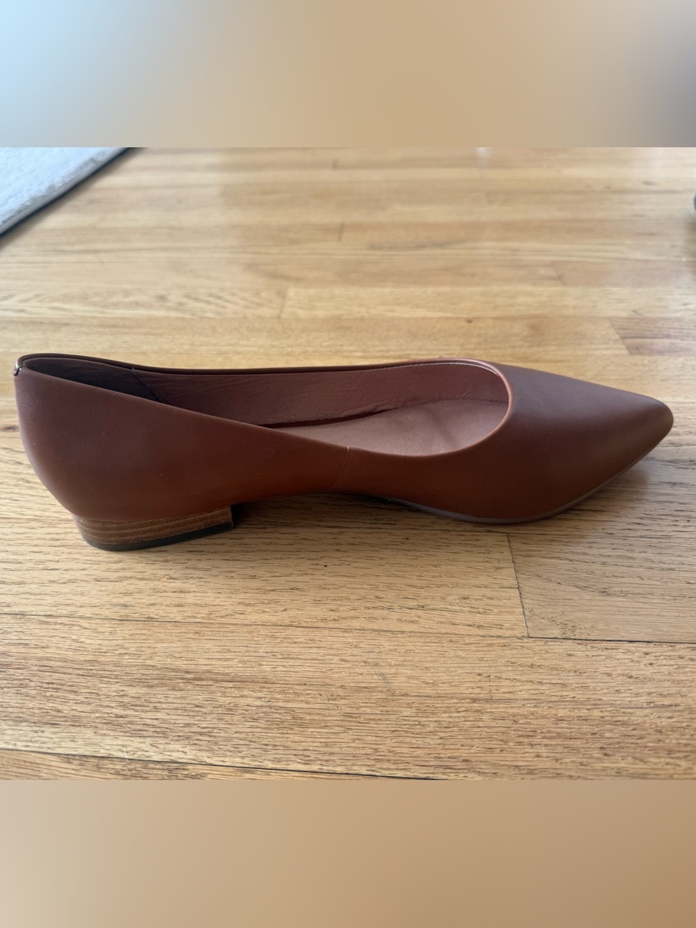 Caslon Women's Pointed Toe Brown Leather Flat